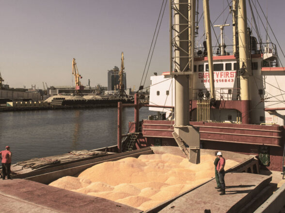 WCSA BULK CARGO RATES TO THE FAR EAST AND NORTHERN EUROPE INCREASE THEIR VALUES ​​IN ALL SEGMENTS