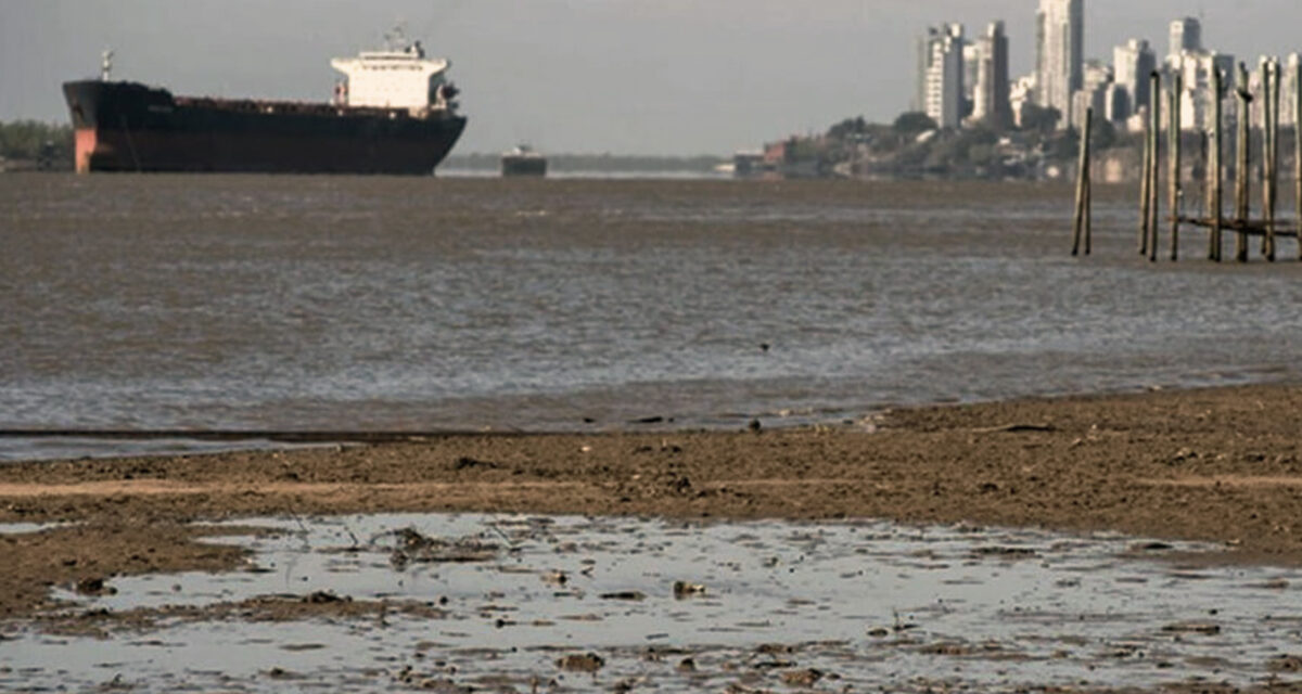 ALERT: DUE TO THE DOWNSPOUT OF THE PARANÁ RIVER, GRAIN SHIPS LOAD 10% LESS