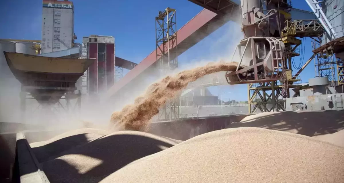 ARGENTINA’S GRAIN EXPORTS WOULD REACH US$25.5 MILLION, A 39% DECREASE COMPARED TO THE PREVIOUS SEASON