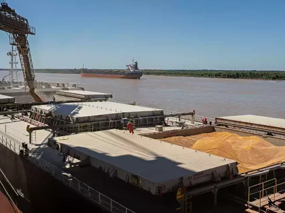 EMBARQUES DE ACEITE DE SOJA DESDE SUDAMÉRICA A LA INDIA GOZAN DE BUENAS PERSPECTIVAS PARA 2025-26