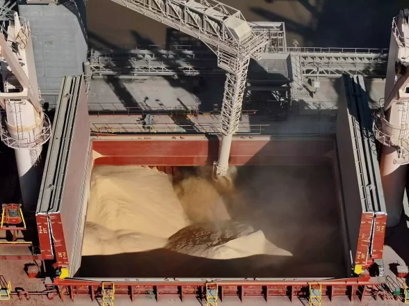 EMBARQUES DE SOJA DE ARGENTINA ALCANZAN MÁXIMO EN SIETE AÑOS GRACIAS AUMENTO DE IMPORTACIONES DE CHINA