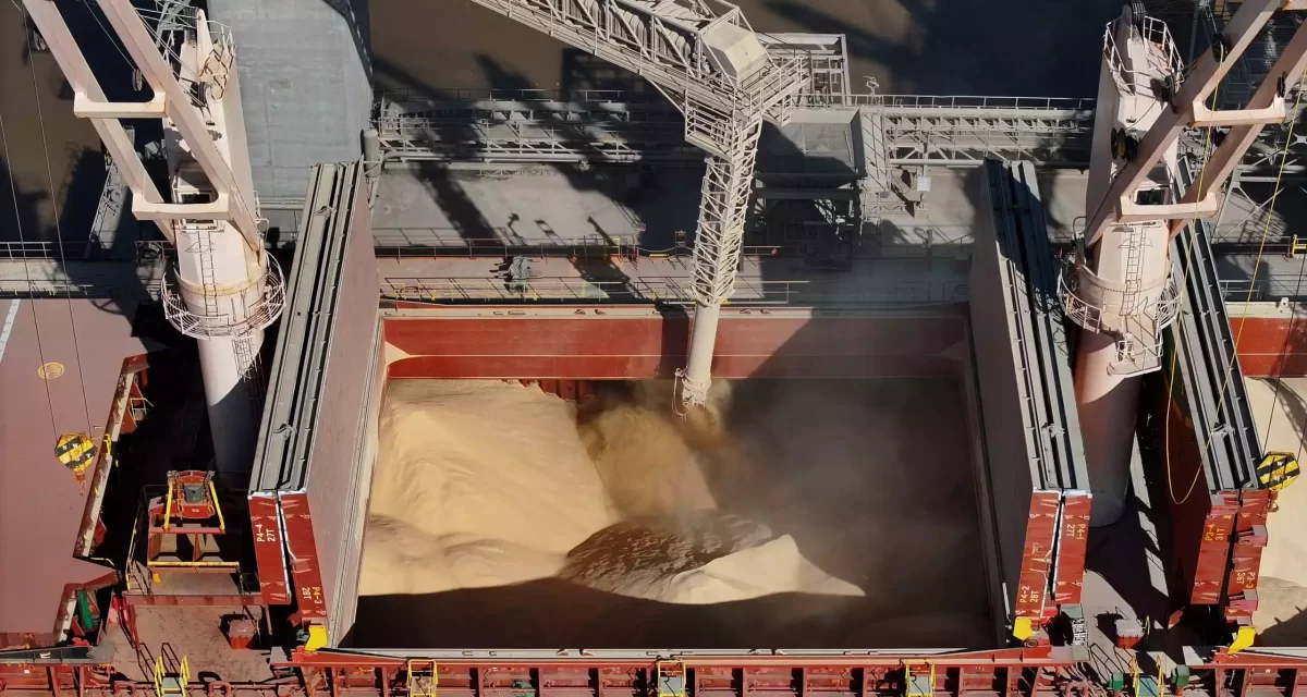 ARGENTINA’S SOYBEAN SHIPMENTS REACH SEVEN-YEAR HIGH THANKS TO INCREASED IMPORTS FROM CHINA